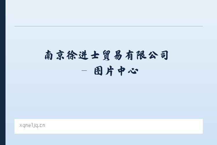 南京徐进士贸易有限公司 列表图